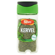 Foto van Silvo Kervel