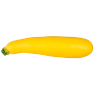 Foto van Hollandse Gele courgette