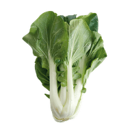 1 de Beste Paksoi Foto van 1 de Beste Paksoi