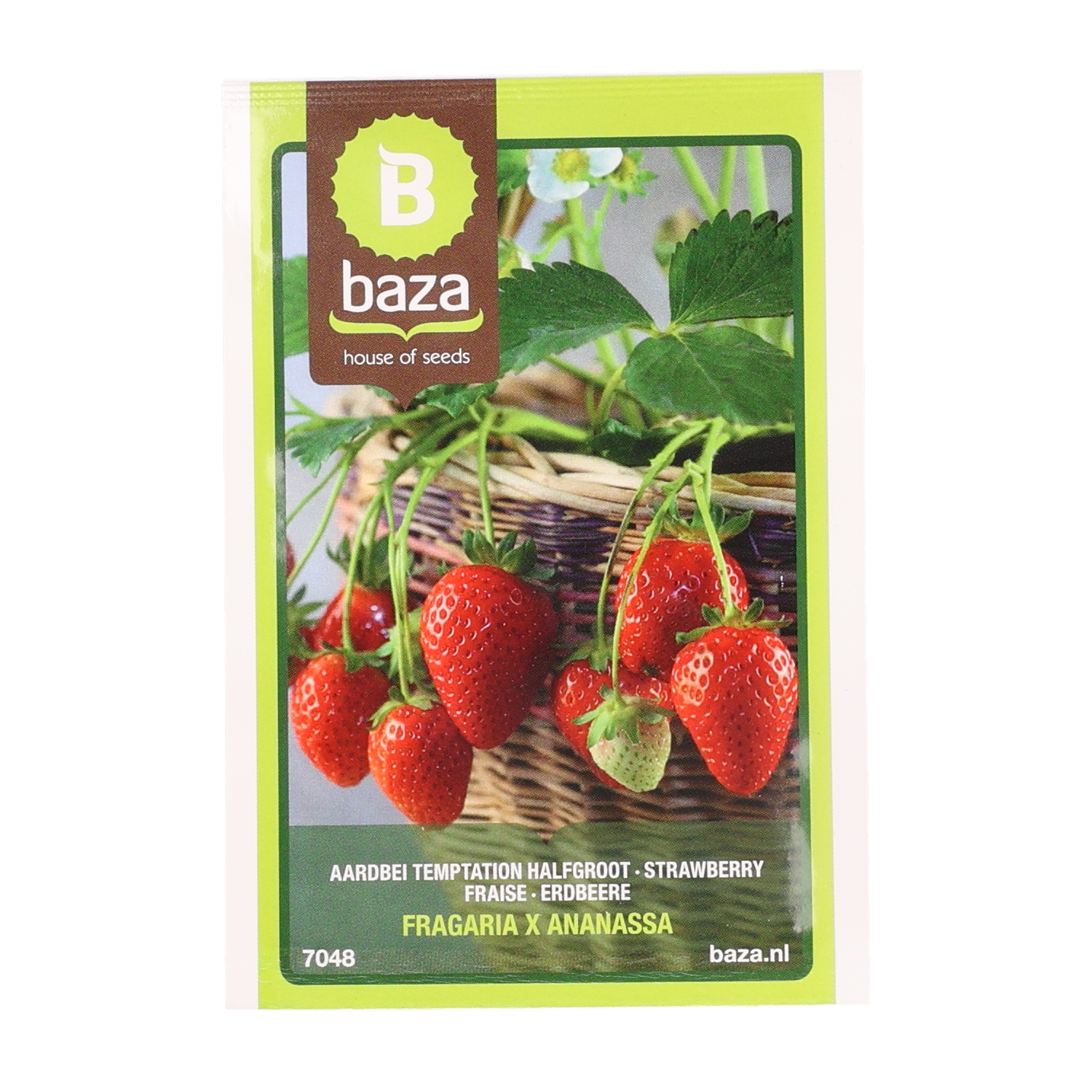 Baza zaden