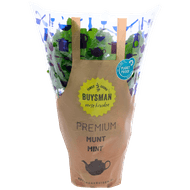 Foto van Munt grote pot