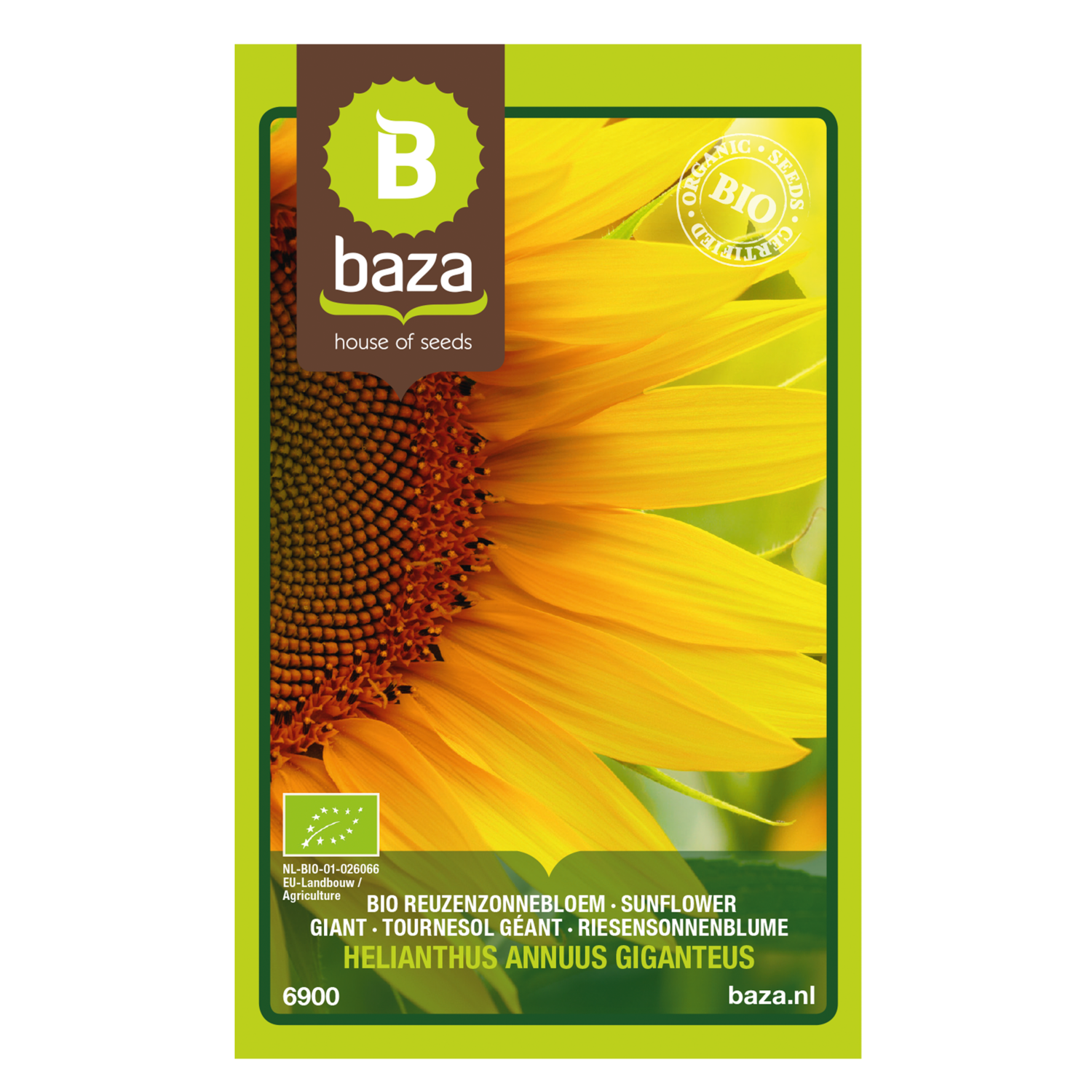 Baza zaden bloemen
