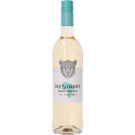 Die 5 Groot Pinot Grigio Foto van Die 5 Groot Pinot Grigio