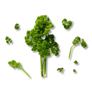 Foto van Peterselie krul