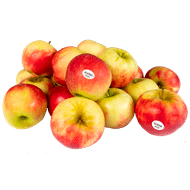 1 de Beste Elstar Foto van 1 de Beste Elstar