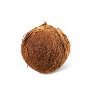Kokosnoot Foto van Kokosnoot