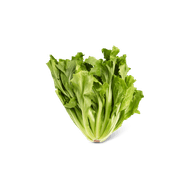 Andijvie Foto van Andijvie