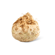 Knolselderij Foto van Knolselderij