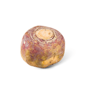 Koolraap Foto van Koolraap