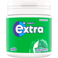 Extra Spearmint bottle suikervrij 84 g