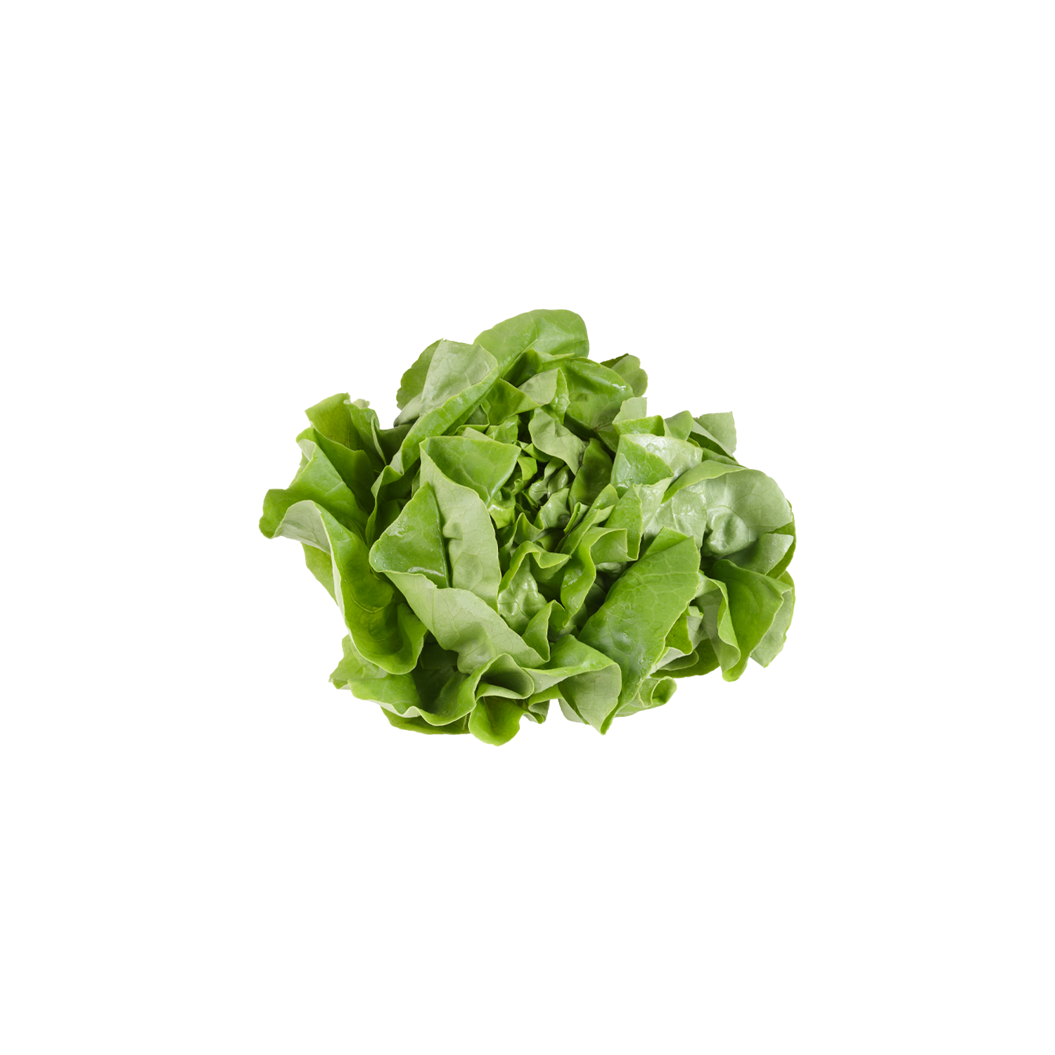 1 de Beste Kropsla