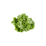 Foto van 1 de Beste Kropsla