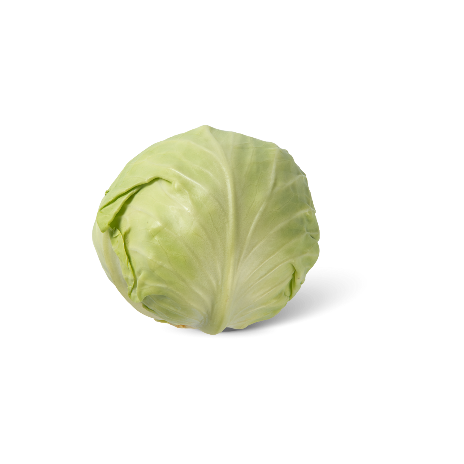 Witte kool
