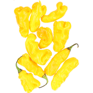 Foto van Madame jeanet