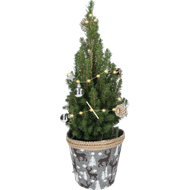 Kerstboompje 55 cm Foto van Kerstboompje 55 cm