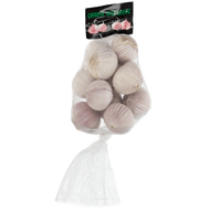 Knoflook uien solo Foto van Knoflook uien solo