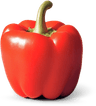 Paprika rood