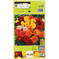 Foto van Bloembollen