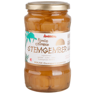 Ambition Chinese stemgember Foto van Ambition Chinese stemgember