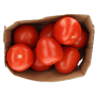 Foto van 1 de Beste Roma tomaten