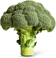 Broccoli Foto van Broccoli