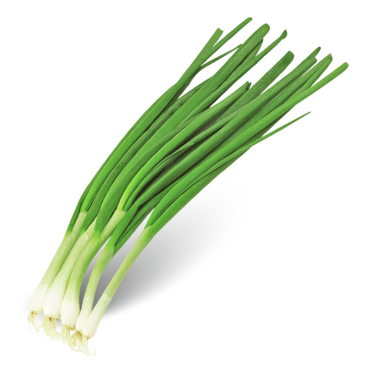 Bosui
