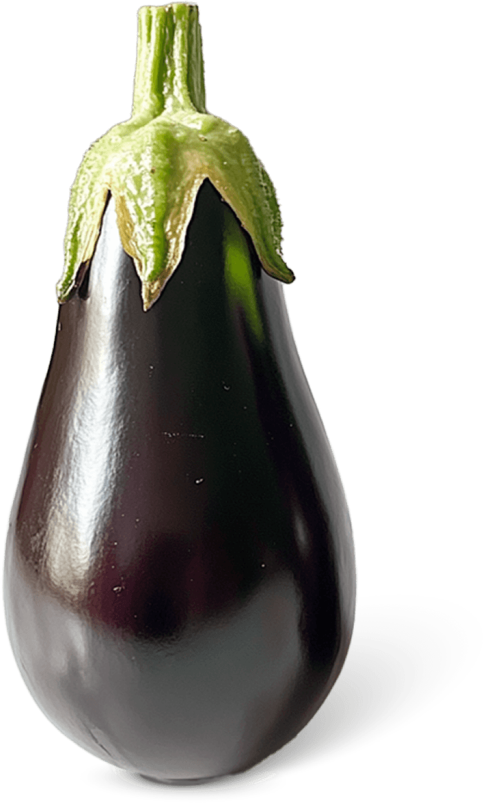 Aubergine