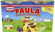 Foto van Dr. Oetker Paula mini vanille met choco vlekken