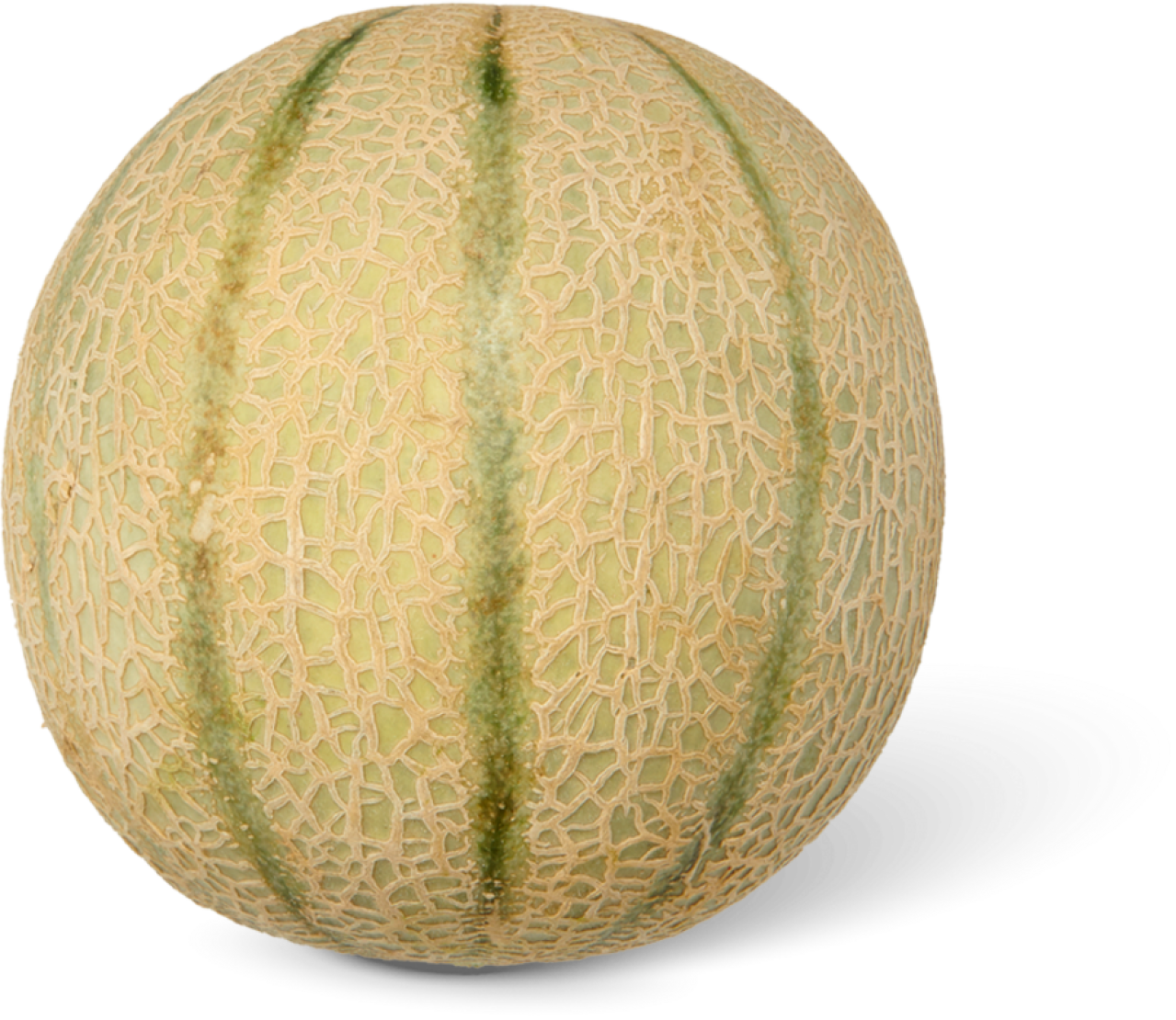 Cantaloupe meloen