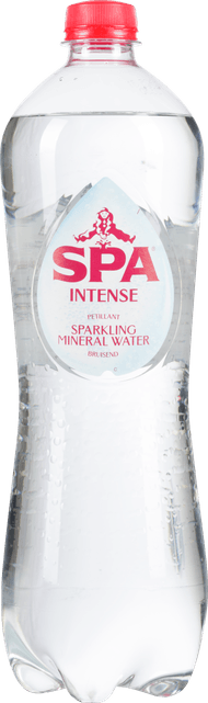 Spa Intense Foto van Spa Intense