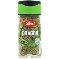 Foto van Silvo Dragon