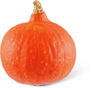 Oranje pompoen Holland Foto van Oranje pompoen Holland
