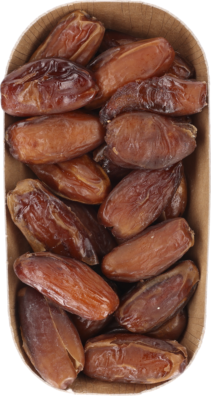 Deglet nour Dadels Op tak