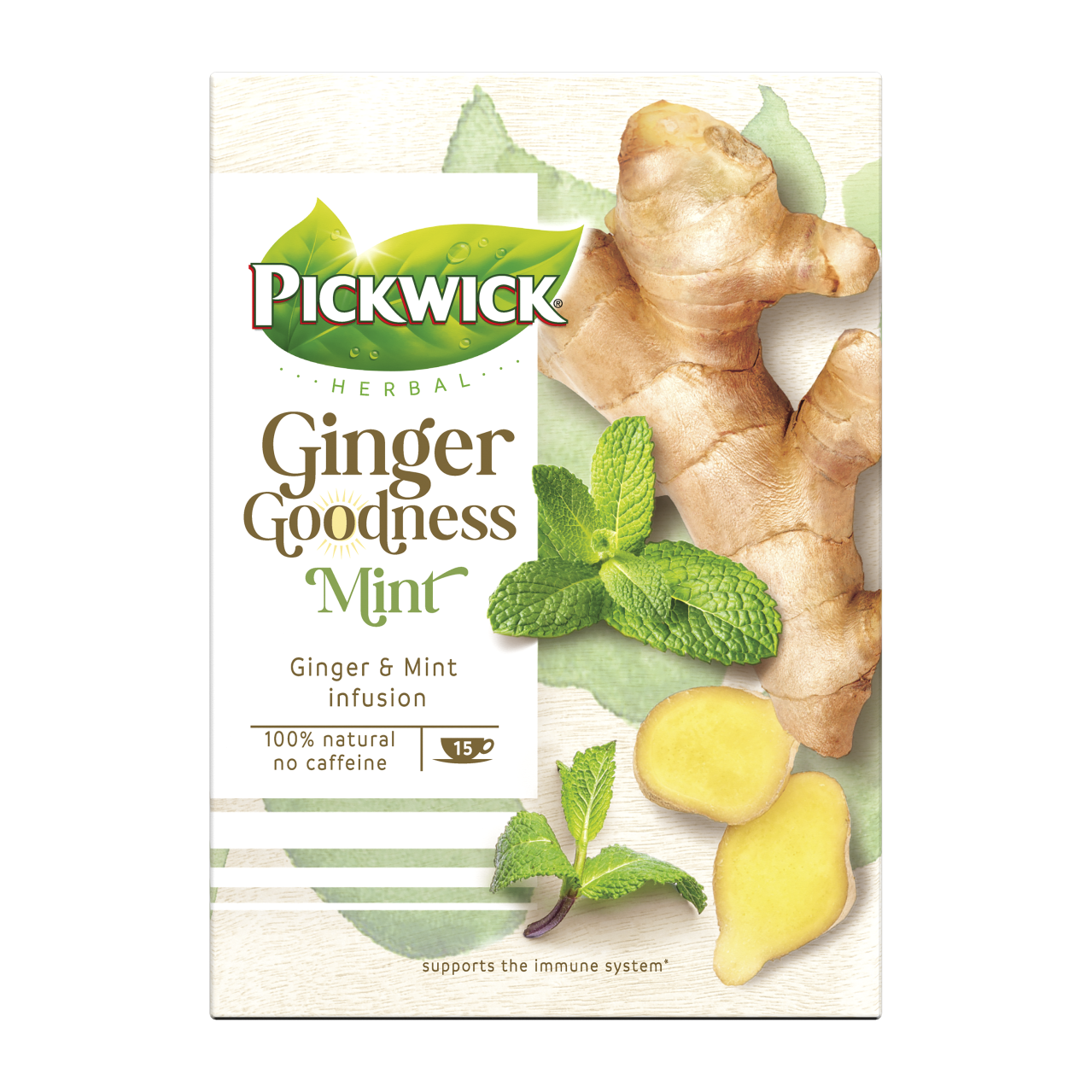 Pickwick Ginger goodness thee mint 15 zakjes