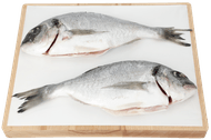 SEA FRESH Dorade 2 st. Foto van SEA FRESH Dorade 2 st.