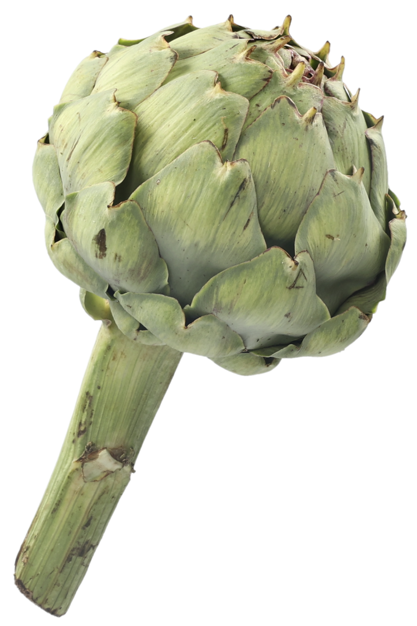 Artisjok