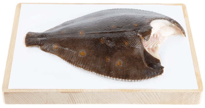 SEA FRESH Hele schol