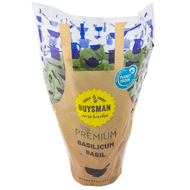 Foto van Basilicum grote pot