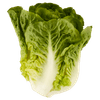 Thumbnail van variant 1 de Beste Mini romaine