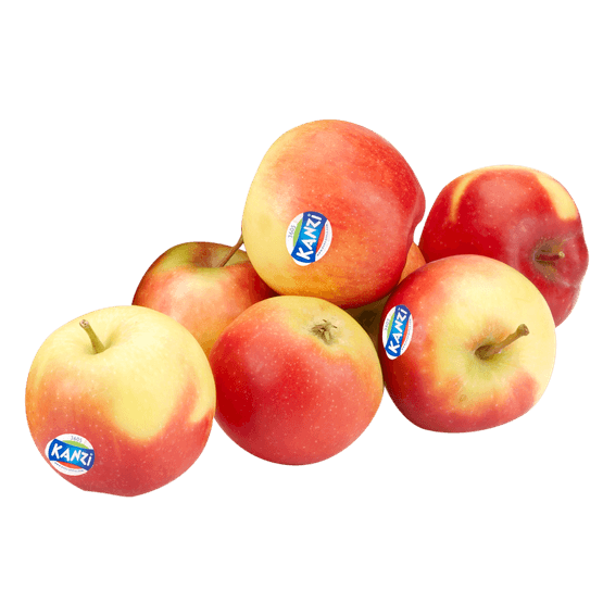 Foto van Hollandse Kanzi op witte achtergrond