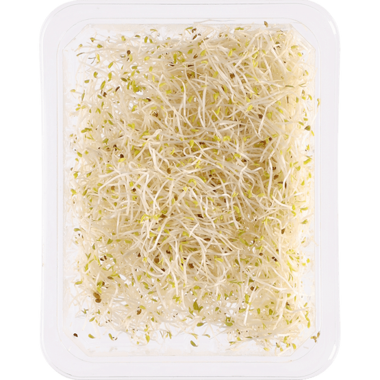 Foto van Bio alfalfa op witte achtergrond