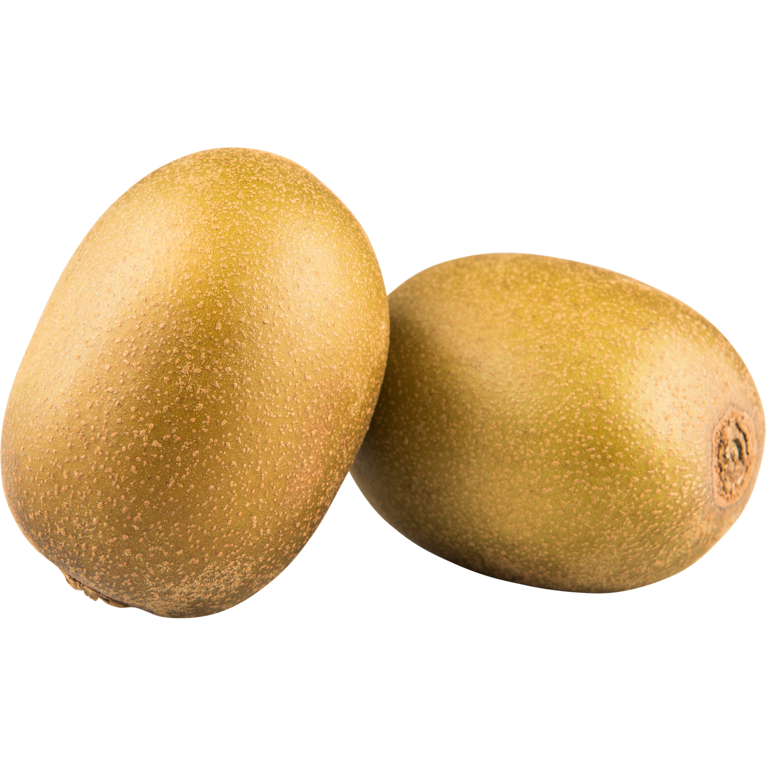 Zespri Kiwi sungold