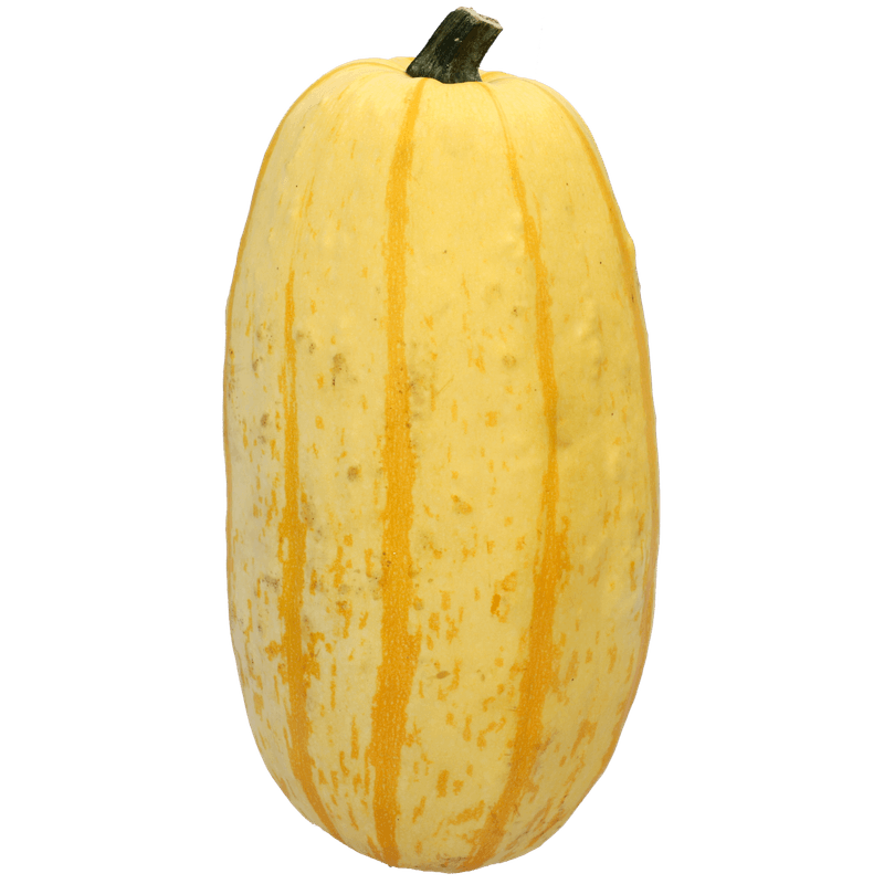 1 De Beste Spaghetti pompoen