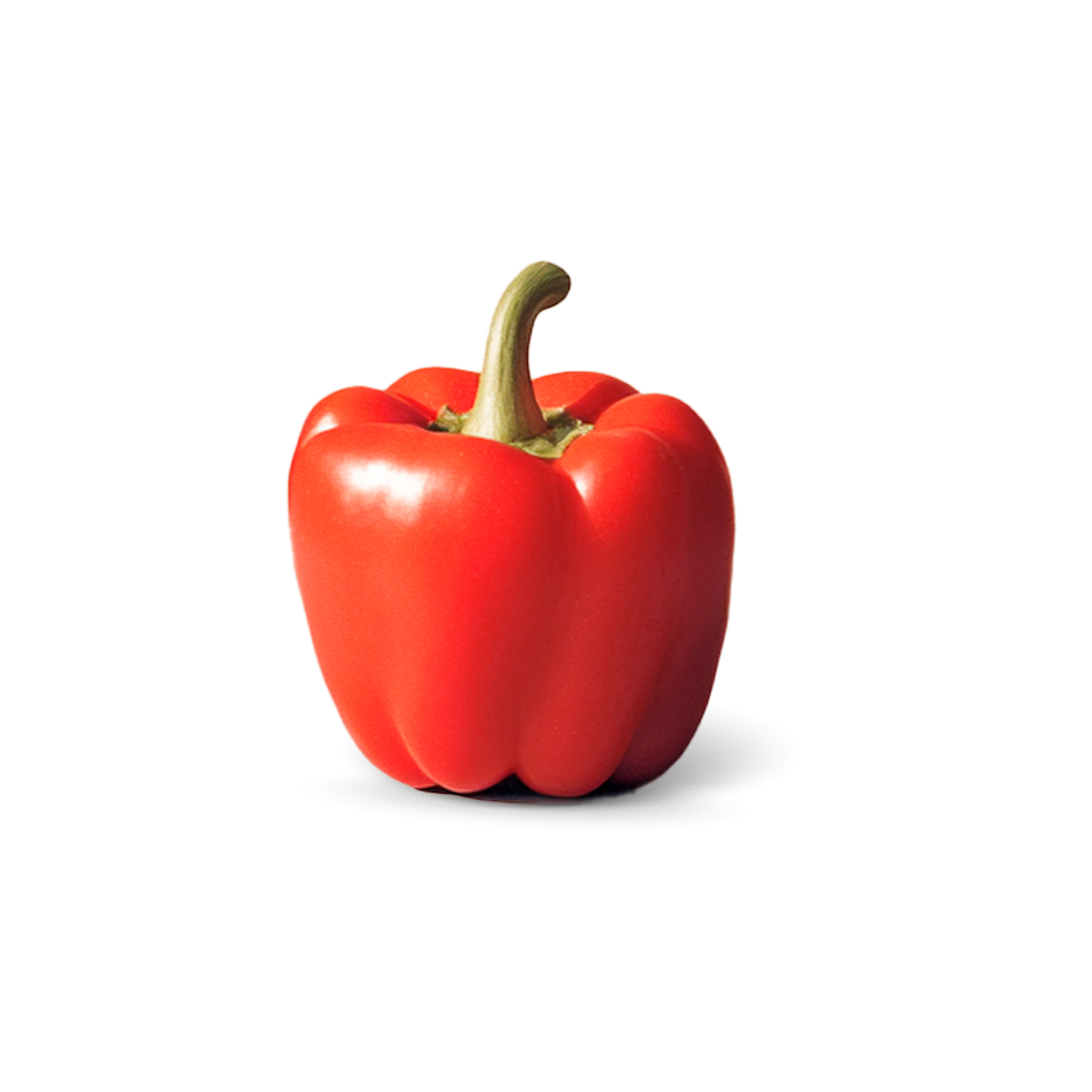 Paprika rood