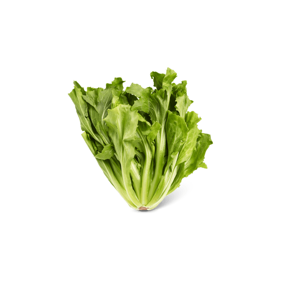 Foto van Andijvie op witte achtergrond