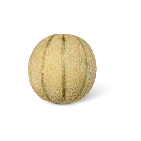 Foto van Cantaloupe meloen op witte achtergrond