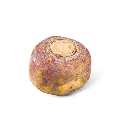 Foto van Koolraap op witte achtergrond