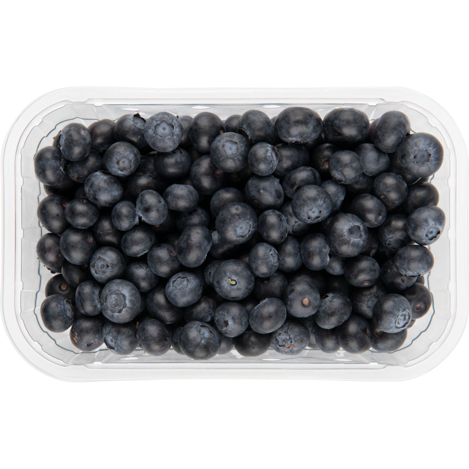 1 de Beste Blauwe bessen