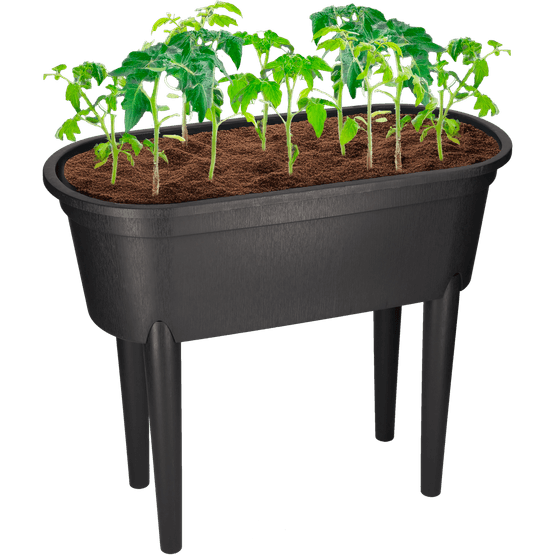 Foto van Kweektafel op poten op witte achtergrond