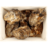 Thumbnail van variant Premier Zeeuwse oesters mandje
